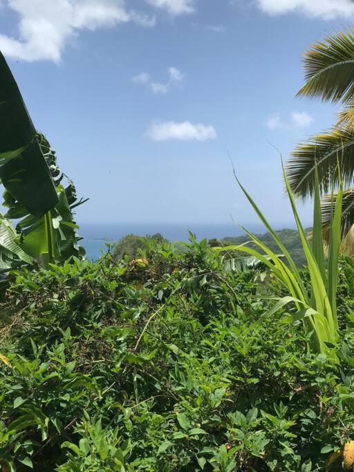 Tropical Cottage En Eco Casa Algana El Limon Dış mekan fotoğraf